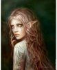 Wondrous Elf