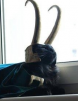 loki1936