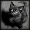 Azazel